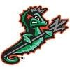 Norfolk Tides Logo