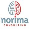 Norima Consulting Logo