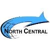 North American Processing Solutions Logo