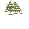 North Branch Nursery Logo