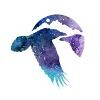 North Cascades Institute Logo