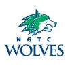 North Georgia Technical College Logo