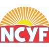 Northeast Center for Youth and Families Logo