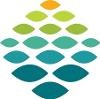 Northern Light Health Logo