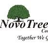 NovoTree Minds Consulting Logo