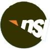 NSI International Logo