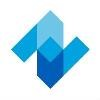 NZN Logo