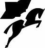 NZZ-Mediengruppe Logo
