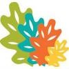 Oak Meadow Montessori School Logo