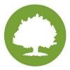 Oak Street Health Logo