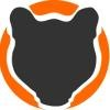 Ocelot Consulting Logo