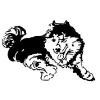Olean City School District Logo