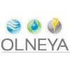 Olneya Construction and Roofing Logo