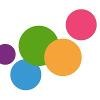 One Week Experience Logo