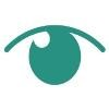Ophthalmic Consultants of the Capital Region Logo
