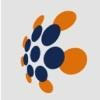 Optimal Blue Logo