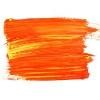 Orange Brands Management Logo