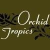 Orchid Botanica Logo