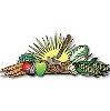 Organically Grown Company Logo