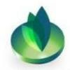 Orious System Logo