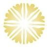 Orlando Senior Health Network Logo