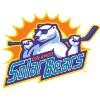 Orlando Solar Bears Logo