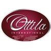 Ottila International Logo