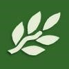 Our City Forest Logo
