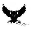 OWL Computing (MI) Logo