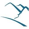 Pacific Edge Logo