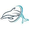 Pacific Medtechs Logo