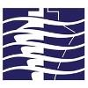 Pacific Shipyards Logo