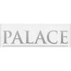Palace Sports & Entertainment Logo