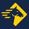 Paladin Security Group Logo