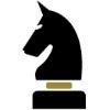 Paladin Security Logo