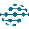 Palamida Logo