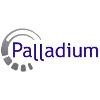 Palladium Real Estate Services Logo