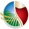 Palm Bay Imports Logo