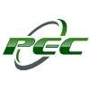 Palmer Electric Logo