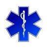Palms Medical Transport Logo