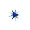 Palo Alto Veterans Institute for Research Logo