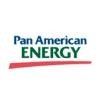 Pan American Energy Logo