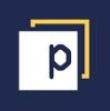 Panaseer Logo
