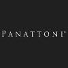 Panattoni Development Company Logo