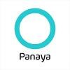 Panaya Logo