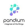 Pandium Logo