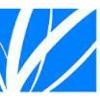 Paper Excellence Group Logo