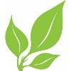 Para Space Landscaping Logo