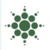 Paradigm Integrated Logo