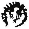 Paradox Interactive Logo